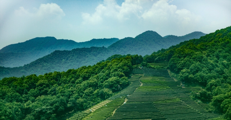 微信圖片_20210408145707.png